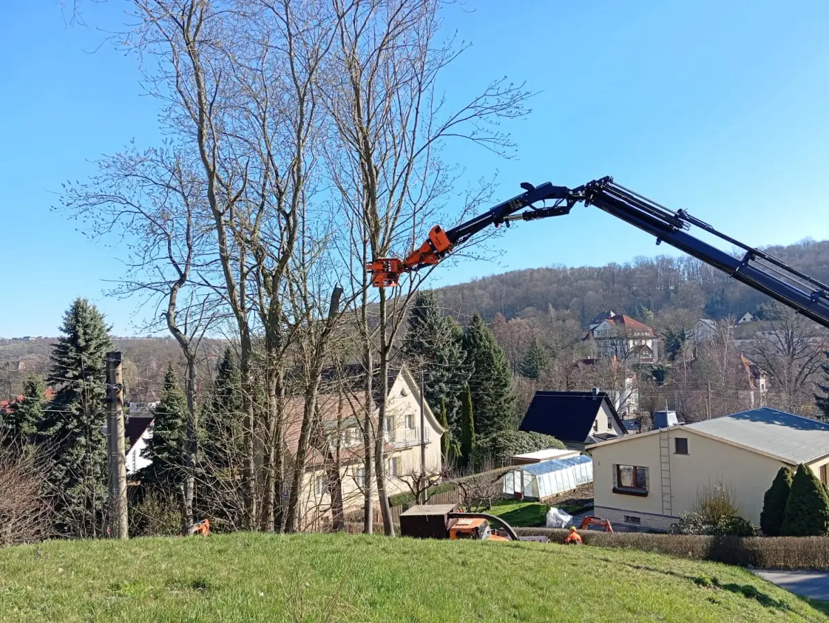 Abtragung mit angebautem Fällgreifer